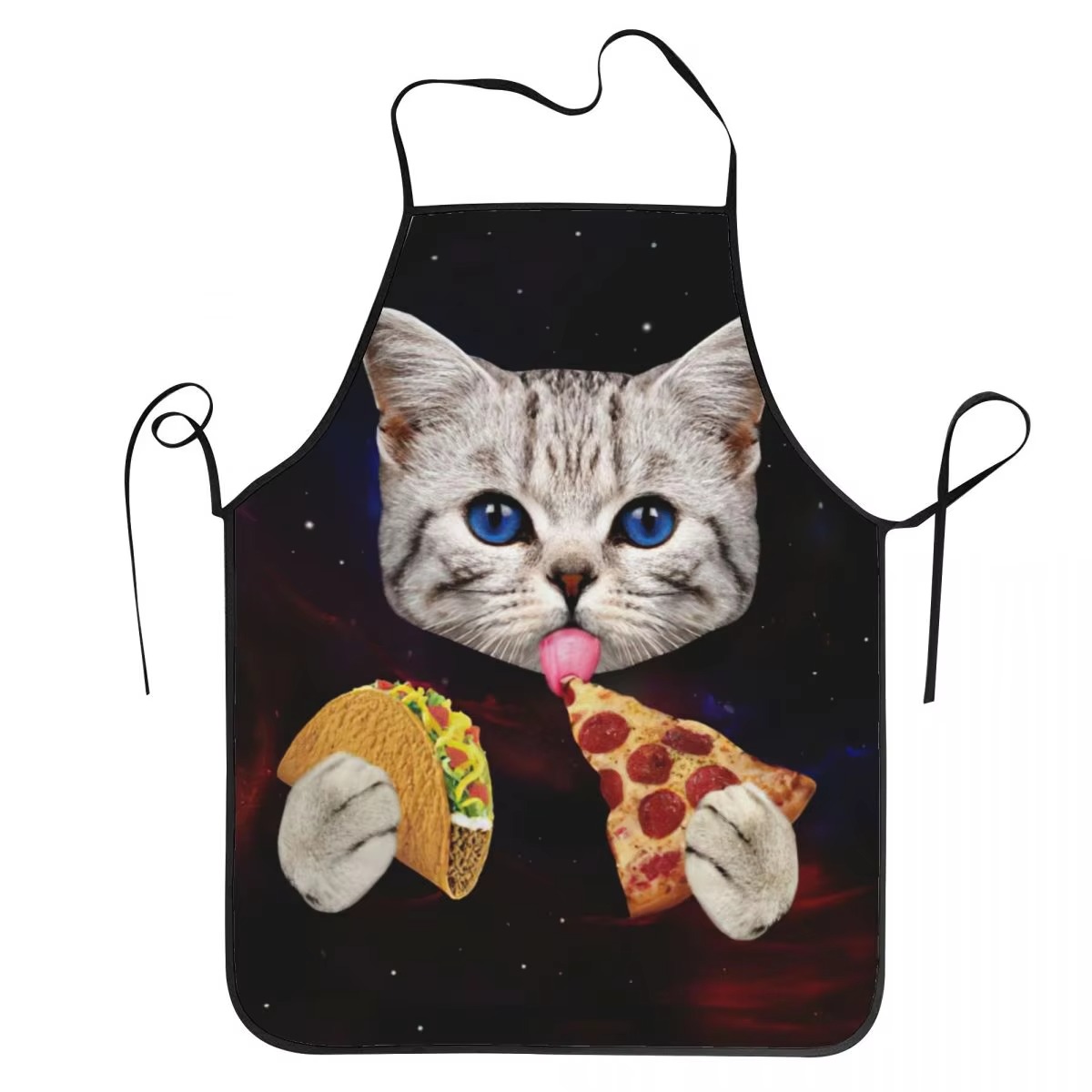 1PC Unisex Space Pizza Cat Apr - Home Cooking For Cats recension och pris
