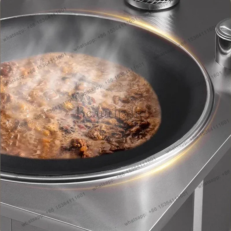 LSStainless Steel Firewood Sto - Home Cooking Heater recension och pris