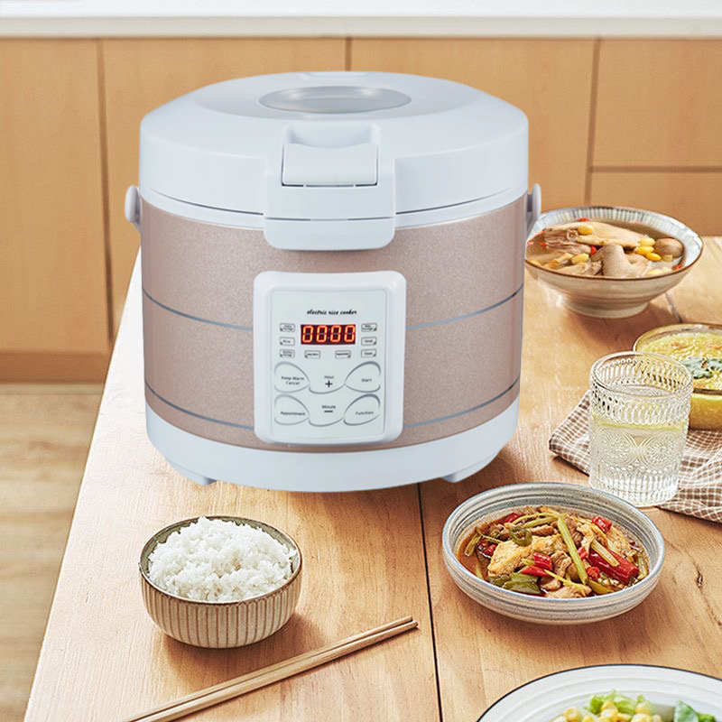 12-24V 220V Rice Cooker Soup S - Home Cooking Heater recension och pris